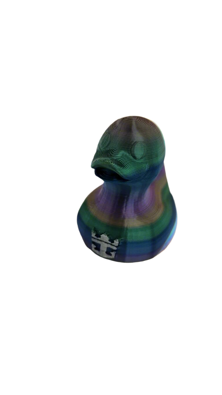 Cruise Duck 3D printed