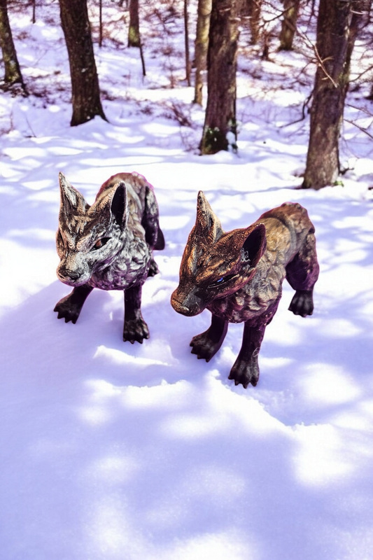 two wolves in snow